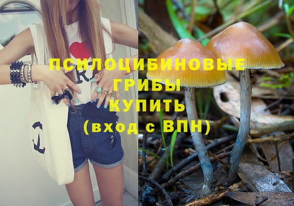 хмурый Балабаново