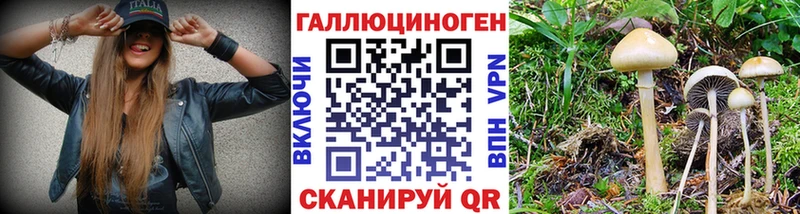 Галлюциногенные грибы GOLDEN TEACHER  как найти   Тихвин 